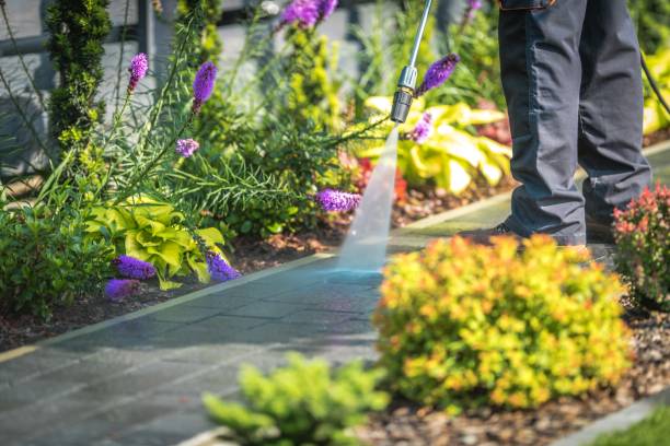 Best Pre-Holiday Cleaning  in West Covina, CA